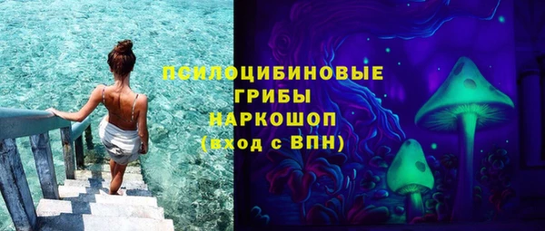 гашик Абаза