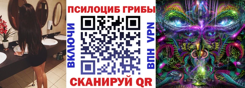 Псилоцибиновые грибы Psilocybine cubensis  Цимлянск 